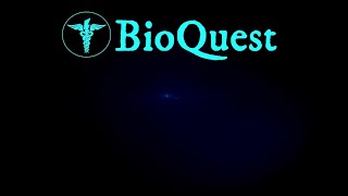 BioQuest - Race the Sun