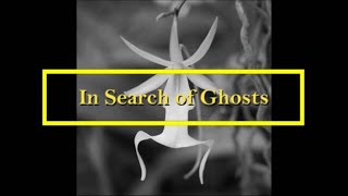 In Search of Ghosts